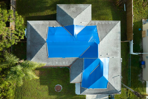 Best Asphalt Shingle Roofing  in Hebron, IN