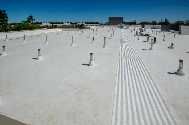 Best Sheet Metal Roofing  in Hebron, IN